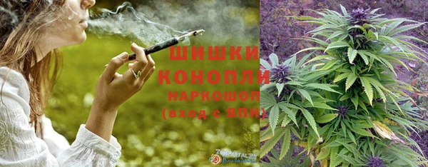 гидра Зеленодольск