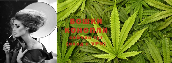 гидра Зеленодольск