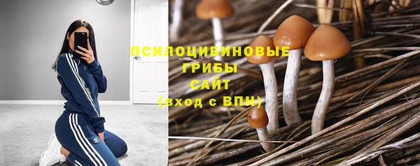 соль курить ск Зеленокумск