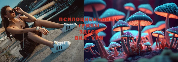 гидра Зеленодольск
