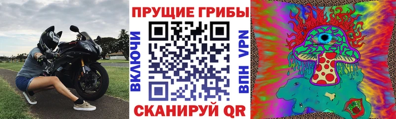 Псилоцибиновые грибы прущие грибы  Кизел 